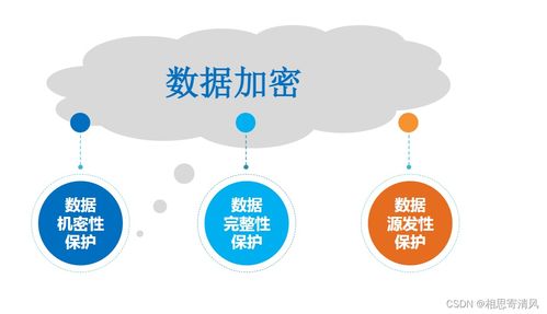 网络安全面临的威胁与网络与信息安全软件开发的关键作用